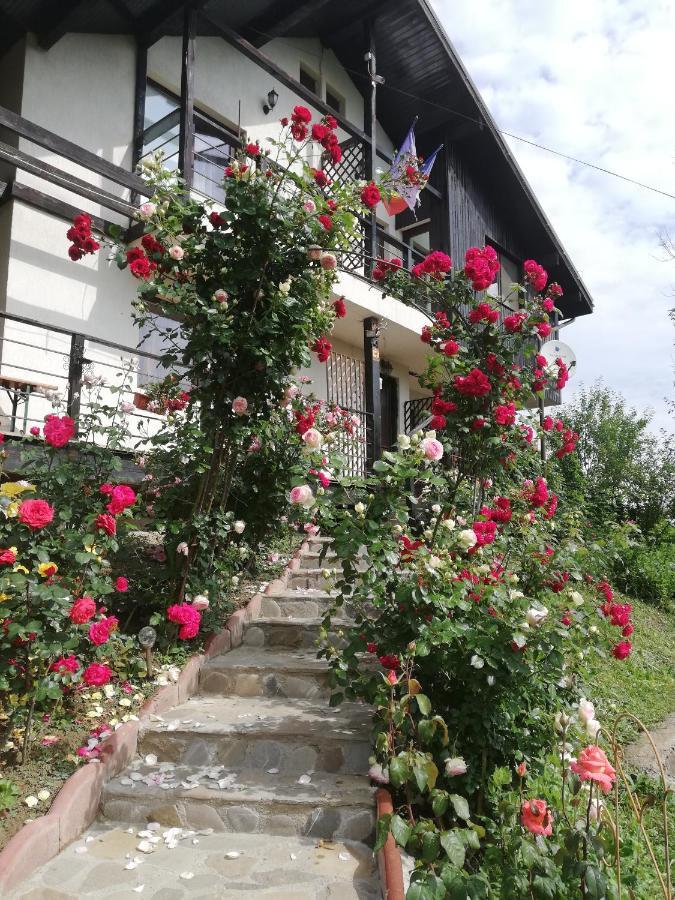 Casuta Cu Trandafiri Hotel Slanic Luaran gambar