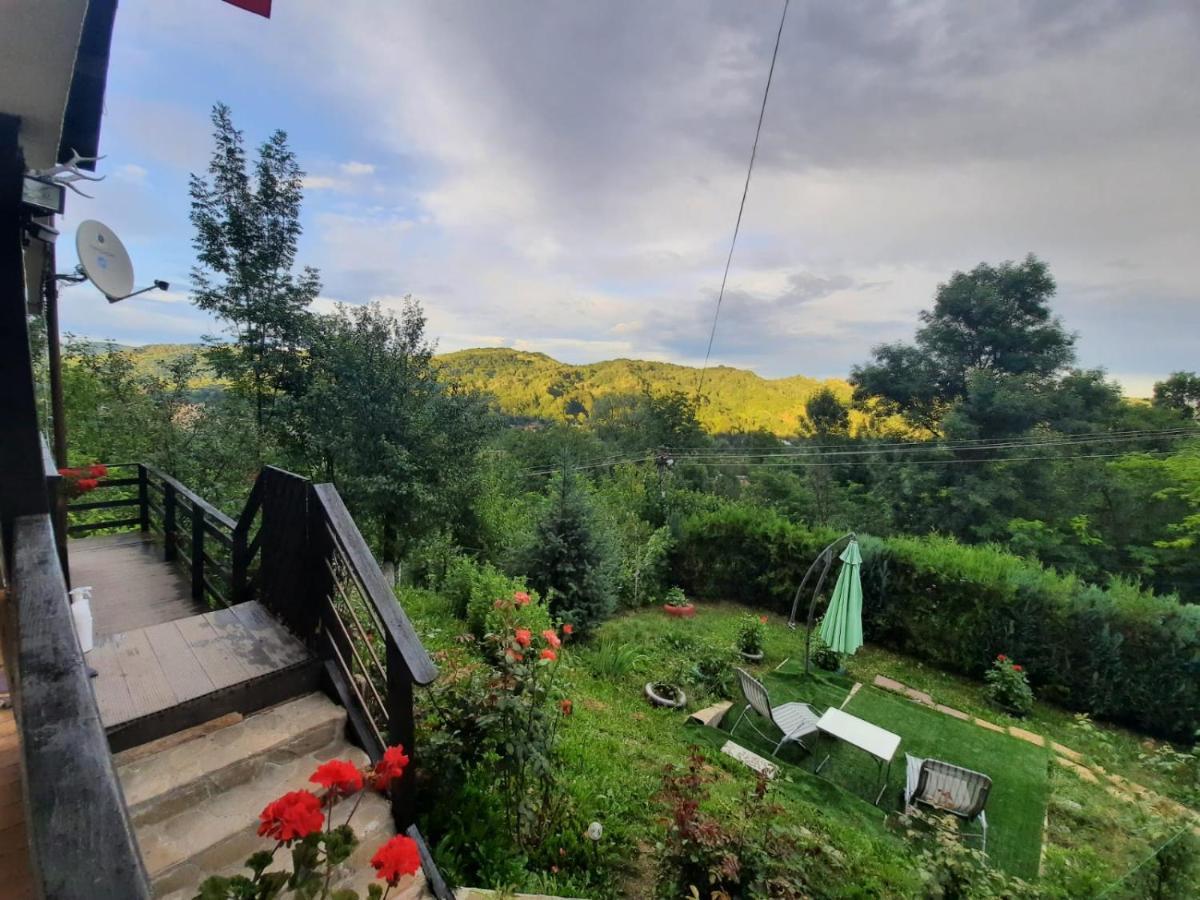 Casuta Cu Trandafiri Hotel Slanic Luaran gambar