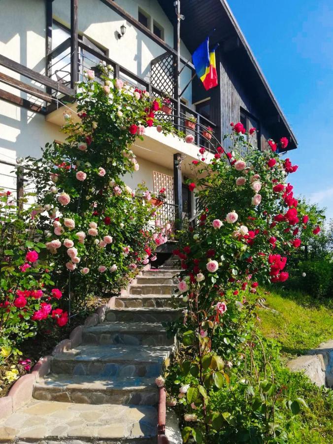 Casuta Cu Trandafiri Hotel Slanic Luaran gambar
