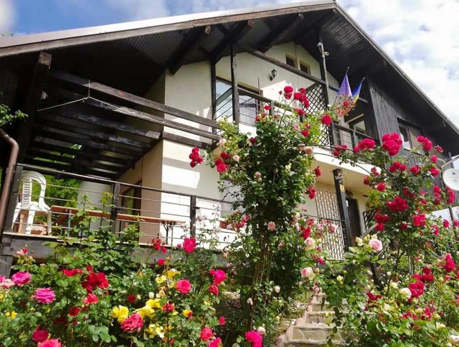 Casuta Cu Trandafiri Hotel Slanic Luaran gambar