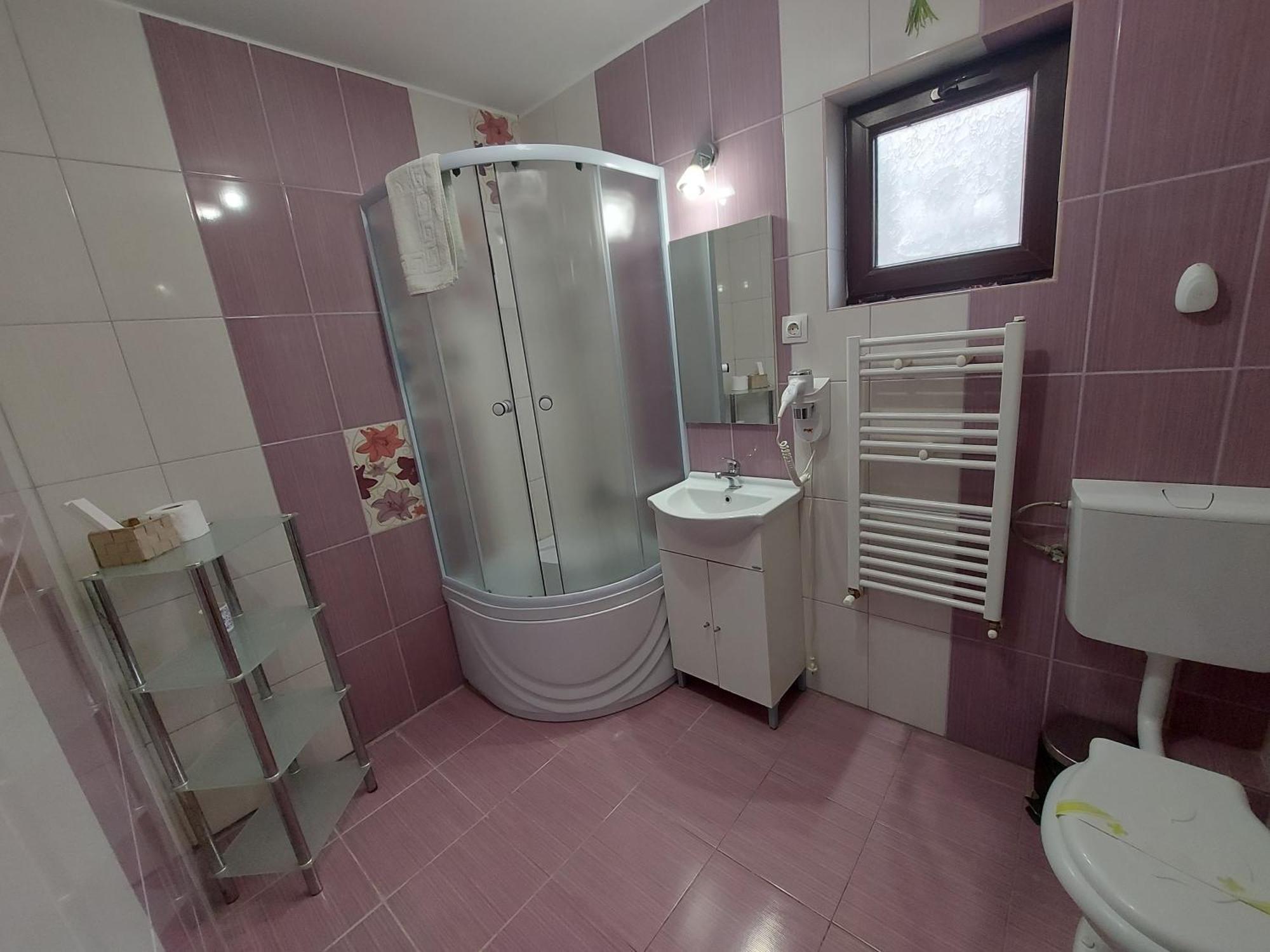 Casuta Cu Trandafiri Hotel Slanic Luaran gambar
