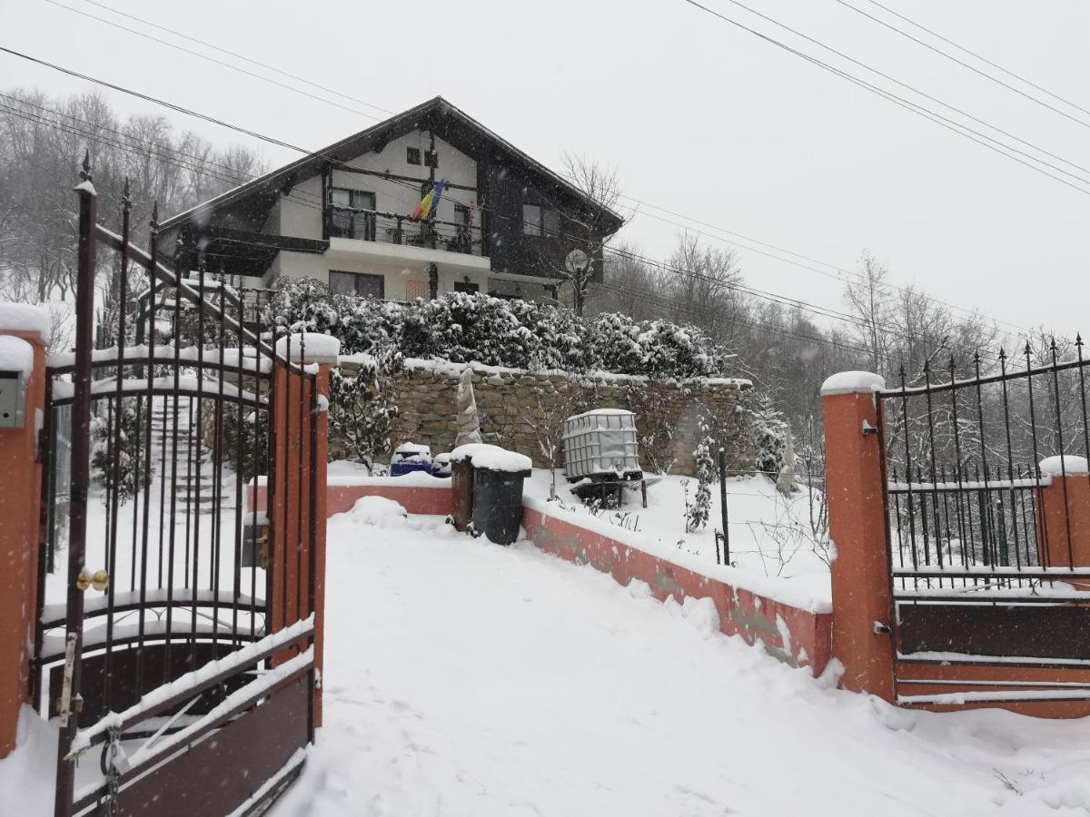 Casuta Cu Trandafiri Hotel Slanic Luaran gambar